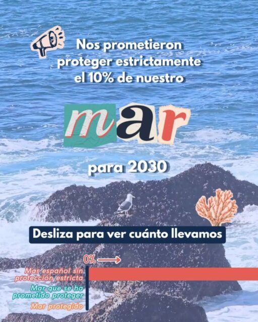 Prometieron proteger estrictamente el 10% del mar para 2030. 🌊
Desliza la barra y fíjate cuánto tarda en llegar esa promesa… y lo poquísimo que llevamos de verdad, que sin zoom, ni se ve. 📉👀
Comparte si tú también crees que ya toca hacer las promesas realidad. 💙
#ElMarSabeHacerlo #ProtecciónEstricta #SinBiodiversidadNoHayVida #EducaciónAmbiental #VidaMarina