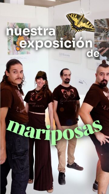 TIA ✨que hemos hecho una EXPOSICION FOTOGRÁFICA de las mariposas del sureste✨

Murcia tiene mariposas para todo el año, ven a conocerlas en la exposición «A ritmo de mariposa» 🦋 
📆 Disponible hasta el 9 de octubre en la @brmuoficial 

🗨️ ningún entomólogo ha resultado herido durante la realización de este vídeo (quizás un poco obligado 😂) @losbichosdedann
@dgtapetado @avistamientos_juanmi 

#BRMU #mariposas #EducaciónAmbiental #murcia #exposición