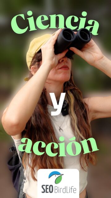¿Cuáles son tus pasitos por la naturaleza? 🦉

Doy las gracias a la Abbey del pasado por haber confiado en el proceso y haber dado pasito tras pasito 👣 Ahora que ha pasado algo de tiempo, miro atrás y digo: wow pero qué de cosas!!!!! ✨

El camino de la divulgación y la conservación funciona así, paso a paso, con ciencia y con acción. Y si no, preguntadle a la gente de @seo_birdlife 🐦 que llevan más de 70 años en esto! 
En su web seo.org podéis ver todo lo que hacen y participar 🤍

#LoquehaceSEOahoraloveo #EducaciónAmbiental #SEOBirdLife #ConservaciónNaturaleza